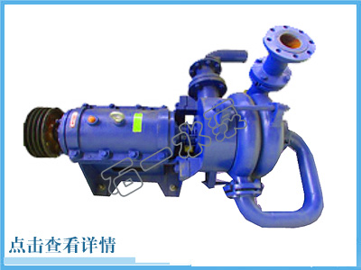 江苏SYS-II型压滤机给料泵