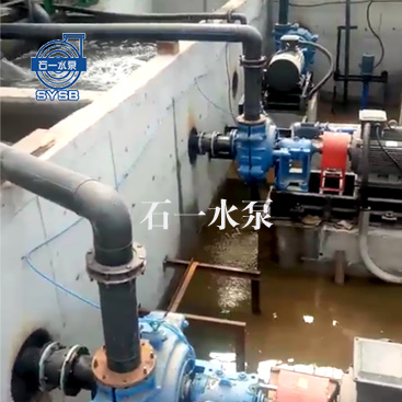 广西污水池渣浆泵应用展示